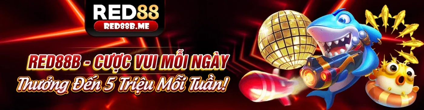 Sân vận động bóng đá với khán giả hò reo, biểu tượng của cá cược thể thao trực tuyến tại web win55