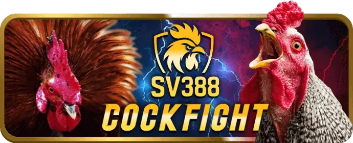 Chương Trình VIP web win55