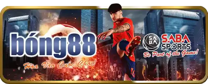 Tổ chức hỗ trợ cờ bạc